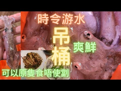 吊桶（魷魚仔）入季,今年街市居然有游水😍以前未見過,因為一有已經比釣魚艇掃左,原隻白灼+豉油王🤤真係好食到冇朋友~香港海鮮~社長遊街市HongKong Seafood Market