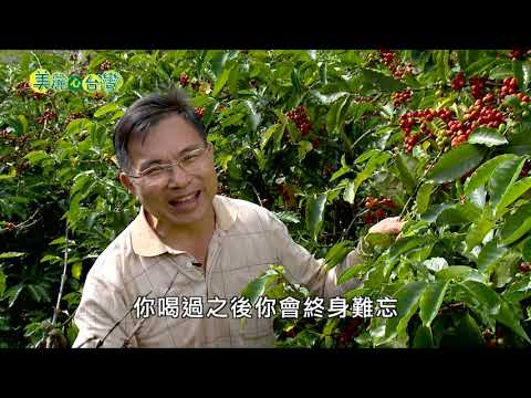 【雲林古坑】高山咖啡的先驅 郭章盛種出冠軍咖啡 | 有機無毒 | 247 | #美麗心台灣