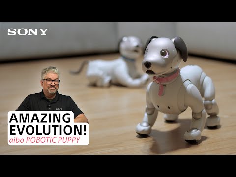 aibo's Amazing Evolution: How Updates Made Sony's Robot Dog Smarter and More Lovable!