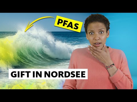 Sind wir alle VERGIFTET, ohne es zu wissen? I Studio Q