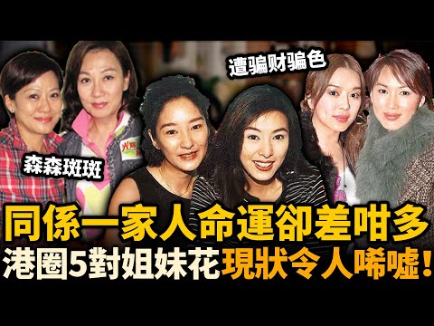 港圈5对姐妹花，同係一家人命運卻差咁多！昔日一齊出道，如今一個做闊太，一個獨自撐家！第四对现状最令人唏嘘！#港圈姐妹花 #米雪 #雪梨