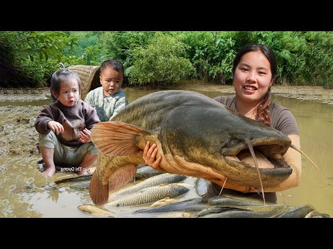 Huge Catch! Harvesting Over 1000KG Giant Fish for Market Sale – Family Cooking Fun