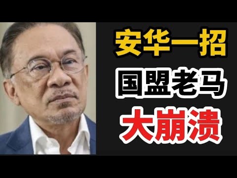 安华一招，国盟老马大崩溃！19/12/2025@zhiyuan9657 