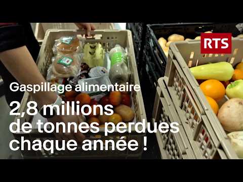 Gaspillage alimentaire : comment éviter de gaspiller et mieux consommer | RTS