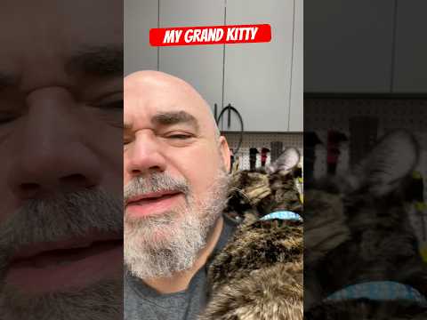 I think my Daughters cat loves me. Either that or my beard smells like cat food 🐱🐟🤣