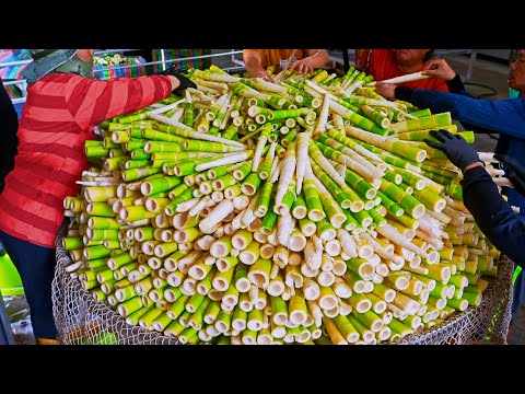 Amazing Scene！Harvesting Bamboo Shoots,Bamboo Shoots Manufacturing Process/泰安桂竹筍大量製作,桂竹筍採收-原住民桂竹筍加工站
