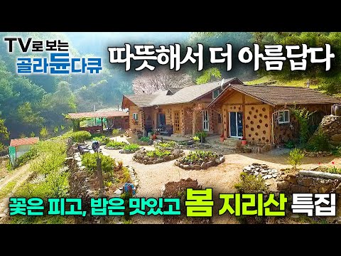 날이 좋아서 밥도 꿀맛. 꽃 피니까 더 살맛나는 지리산의 봄 모음집｜할머니 밥상｜한국기행｜#골라듄다큐