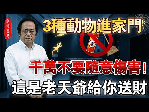 家中進了這3種「神獸」，千萬別趕！趕走就是斷財路，留住能旺三代！#倪海廈 #中醫養生 #居家風水 #經方中醫 #招財運