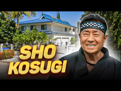 Sho Kosugi | What happened to Hollywood's top ninja