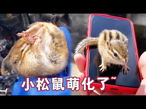 The world a dream 10.26