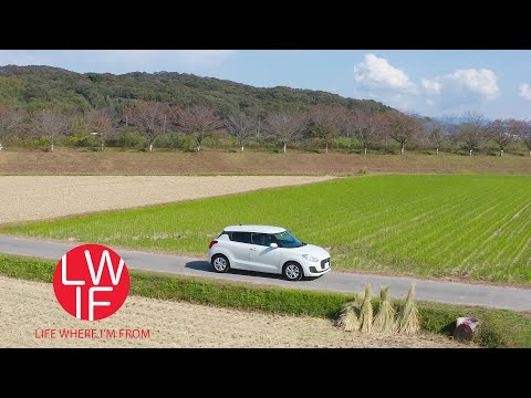 What Driving in Japan is Like