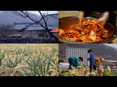 "Korea Spring Garden Harvest 🌱: Family Gratitude 🙏, Cabbage Geotjeori 🥬, and Warm Ongsimi Soup 🍲"
