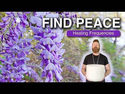 Relax Into Stillness | Healing Frequencies To Put You At Peace