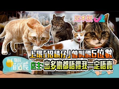 【足本睇】他和她的喵店長EP1 | Gigi炎明熹靚聲導航至上環 訴說幾位可愛貓店長背後的人情故事 | J2 | 中文字幕