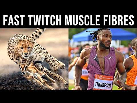 How To Become a FAST TWITCH Animal (Training Principles Explained)