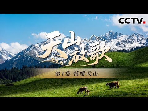 民族团结就是新疆人民的“聚宝盆”！《天山放歌》 第1集 情暖天山 | CCTV