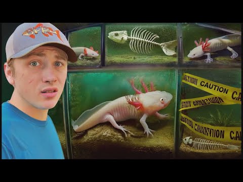 Verlassene Axolotl-Farm entdeckt – du glaubst nicht, was ich gefunden habe!