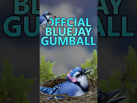 Why I measure everything in gumballs