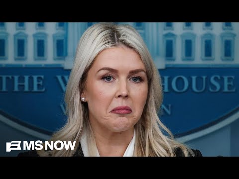 'General B.S.' from Leavitt about Iran is 'unfortunate': Steele