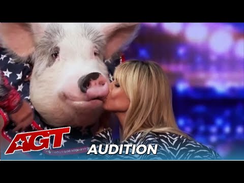 Pigs Got Talent! Heidi Klum KISSES Talented Pig For "Good Luck"