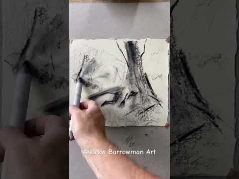 Charcoal drawing | oak tree #charcoaldrawing