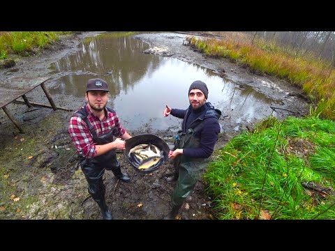 Хейтеры ломают Лесной лагерь.Выкачал пруд.Ловля неводом Сергеем Трейсером.