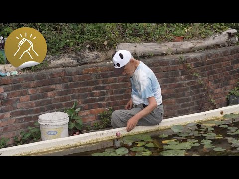 睇得見。聽得到:採菊東籬下 – 住在坪洲的日本農夫