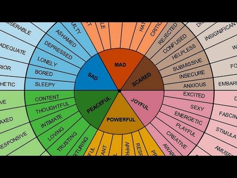 Understanding English adjectives | Canguro English