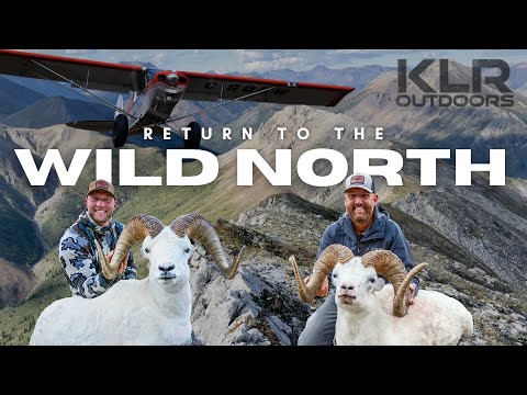 Return to the Wild North, A Yukon Dall Sheep and Caribou Hunt