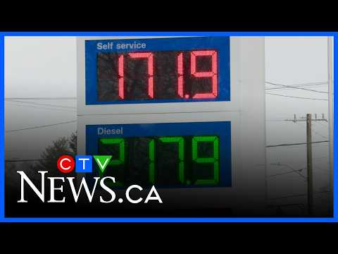 UCP could increase gas relief to 23 cents per litre: analyst | Alberta Primetime