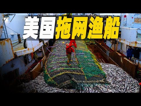走進美國最大最先進的拖網漁船，猶如海上的巨型工廠，出海一趟捕獲1000噸鱈魚，身懷魚籽的魚是他們的最愛  #大脑洞记事