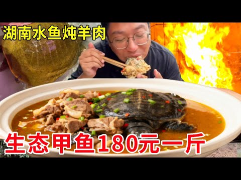 湖南湘潭水鱼炖羊肉，生态甲鱼180元一斤，炖黑山羊肉太过瘾了 # 水鱼炖羊肉 # 湘潭美食 # 湖南美食