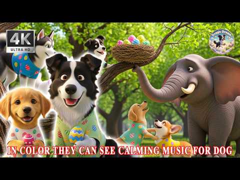 A Journey To Find Easter Eggs 🥚 Animated Stories & Sleep Music for Dogs 💤 Panic Relief 🐶