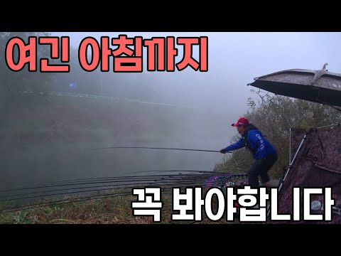 여긴 아침 낚시까지 꼭 봐야합니다 붕어낚시