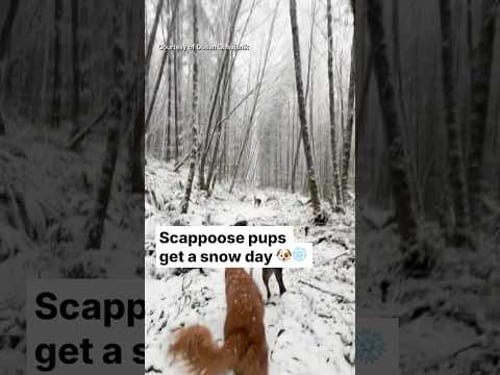 Scappoose pups get a snow day