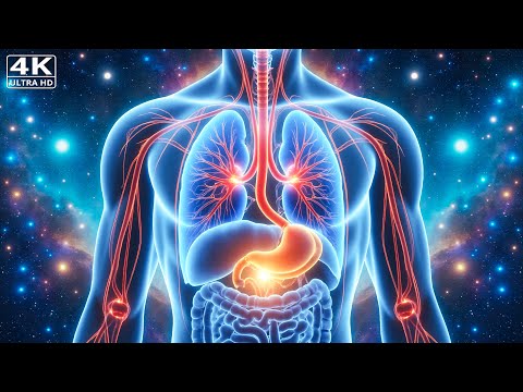 432Hz + 528Hz + 963Hz + 1111Hz | The Deepest Healing: DNA Repair, Heal Damage In The Body and Spirit