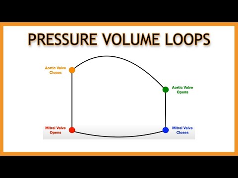Pressure Volume Loops