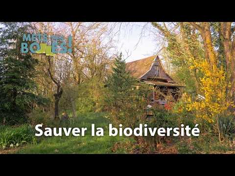 Jean-Louis Amann : l'homme qui a planté sa propre forêt
