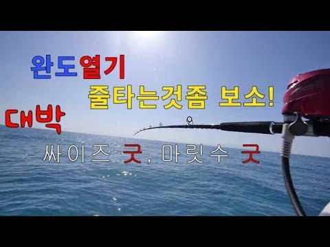 완도열기낚시,,,줄을타는지,,속이타는지?그래도 난 청해호를 탄다