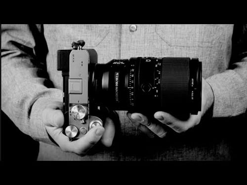 The Sony 100m f/2.8 Macro G-Master BROKE MY BRAIN