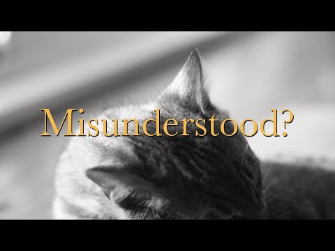 A Lot of People Get This Wrong About Kodak TMAX 100