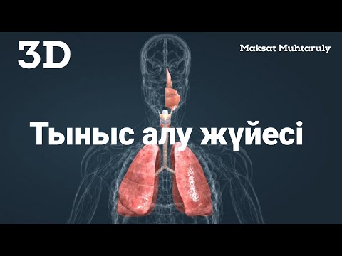 ТЫНЫС АЛУ ЖҮЙЕСІ