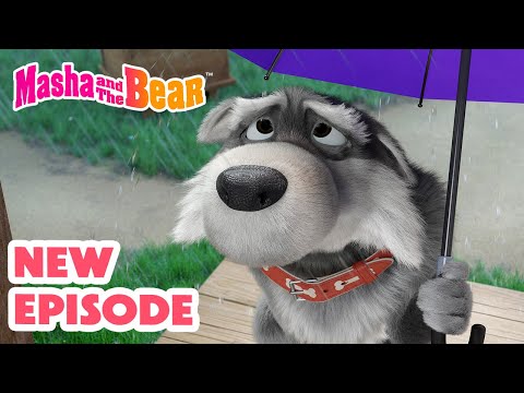 Masha and the Bear 2025 π¬ NEW EPISODE! πΊ Don't sell me a dog πΆπ©π¬ Best cartoon collection