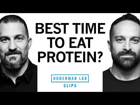 When to Eat Protein for Better Muscle Growth | Dr. Layne Norton & Dr. Andrew Huberman