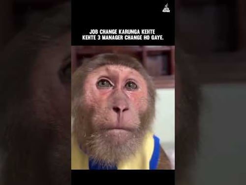 corporate memes | coding memes | developer memes #java #memes #corporatememes #viralvideo