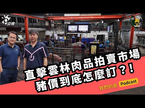 【豬肉漲價】直擊雲林肉品市場:豬價漲幅不定?價格越來越高!豬價到底怎麼訂?|feat. 雲林肉品市場業務課長 曾俊賢|公視我們的島 Podcast@EP.34