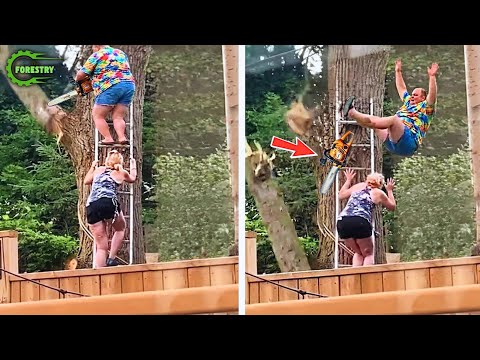 Idiots With Chainsaws: Tree Cutting Fails | Extreme Dangerous Logging Truck Fails #14