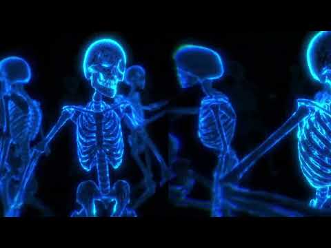 Halloween Window split Projection 2024