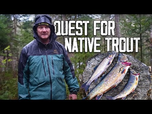 Quest for Native Trout - Portaging Into Remote, Wild Trout Waters for Spring Fishing & Camping