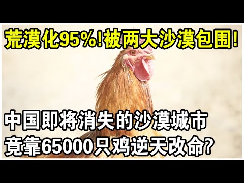 荒漠化95%!被兩大沙漠包圍!曾被美國預言即將消失的中國“沙漠城市”,竟靠65000隻雞逆天改命?